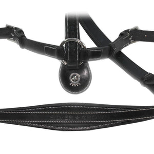 Silver Crown Breastplate with Rivet without Fork