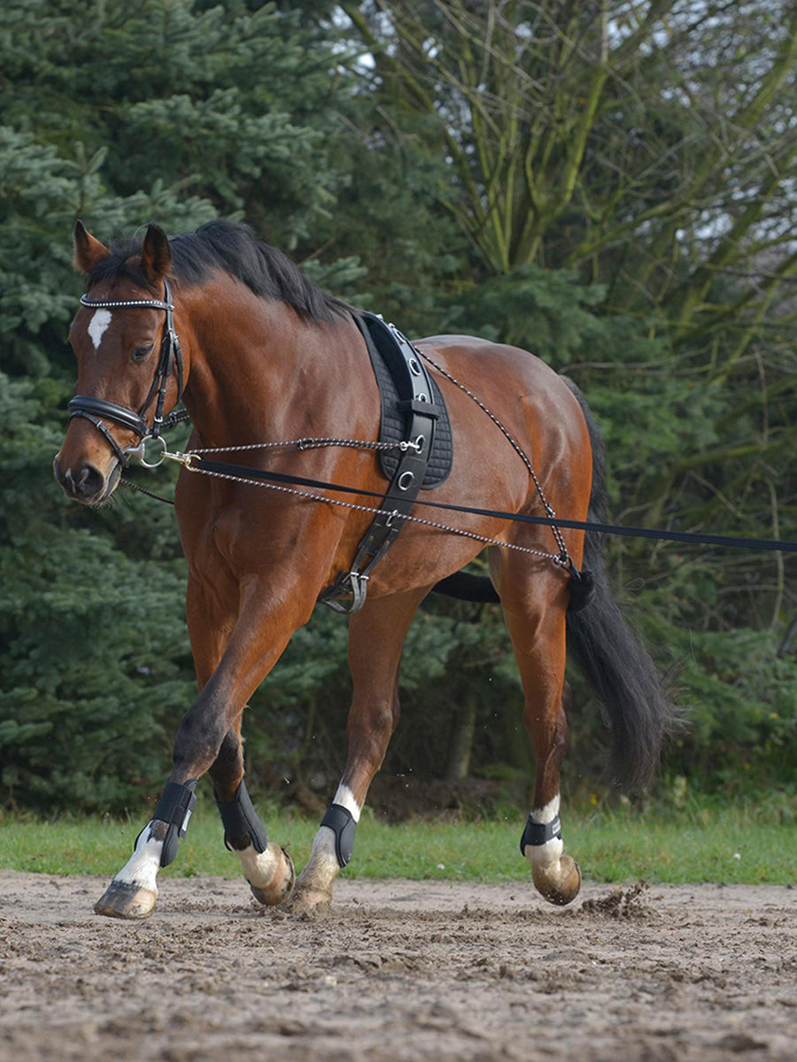 Lunging Girth Pad