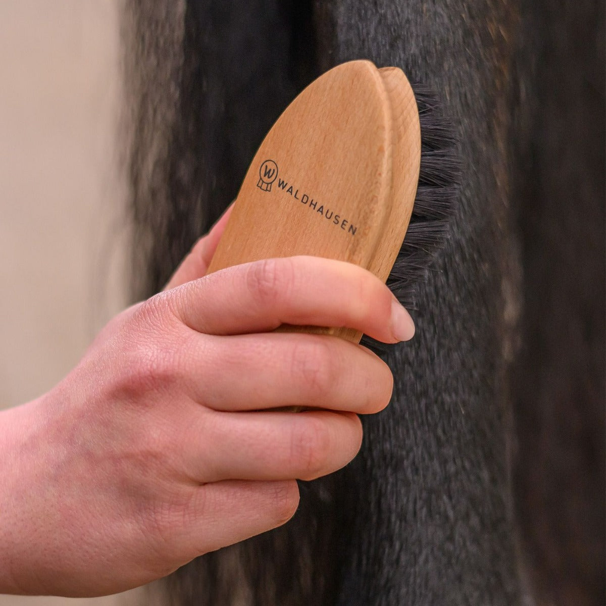 Exclusive Line Dirt Brush
