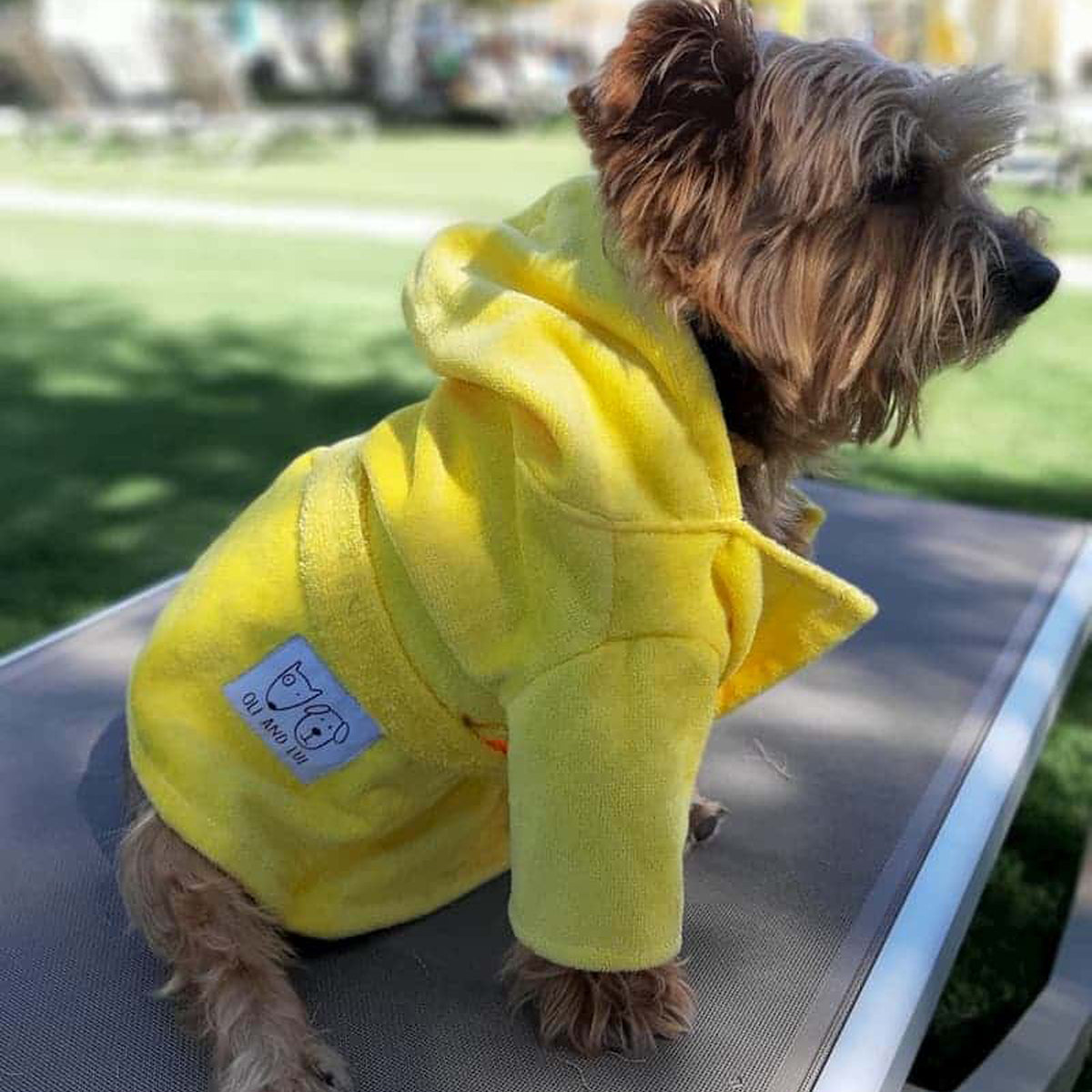 Oli and Lui Dog Bathrobe Lemon