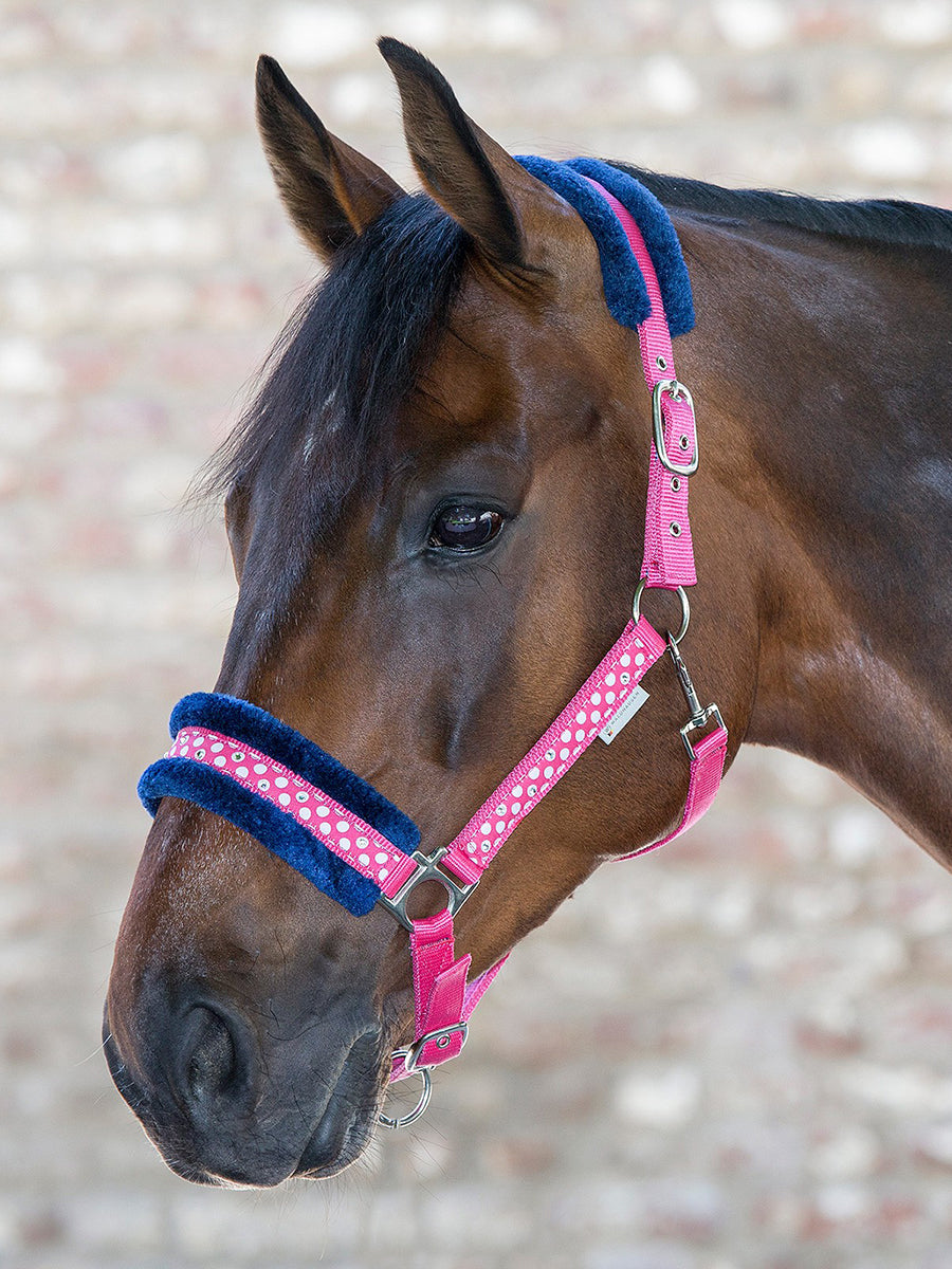 Unicorn Glitter Halter