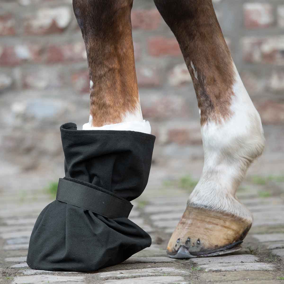 Protection for Hoof Dressings