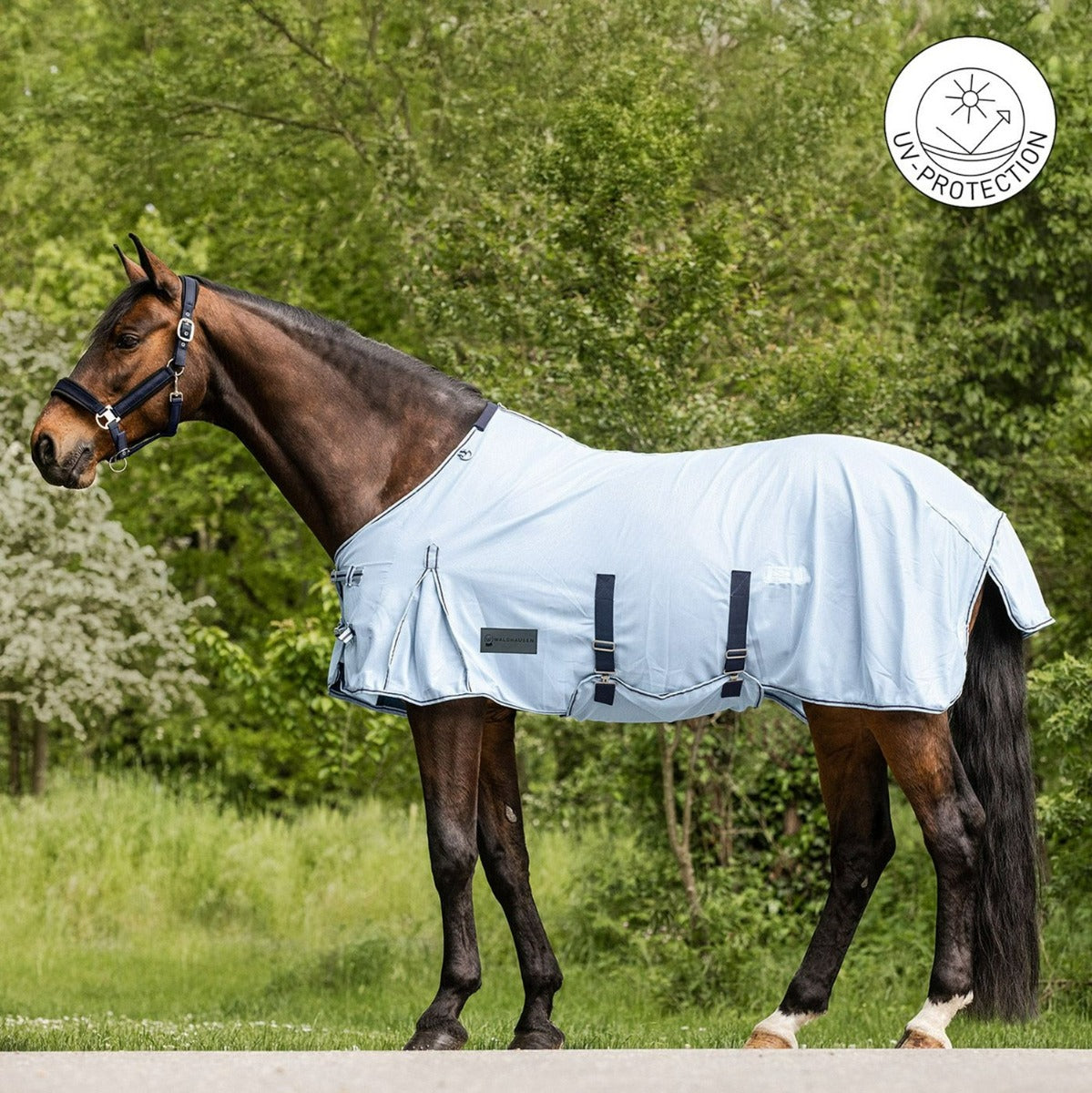 Protect Fly Rug