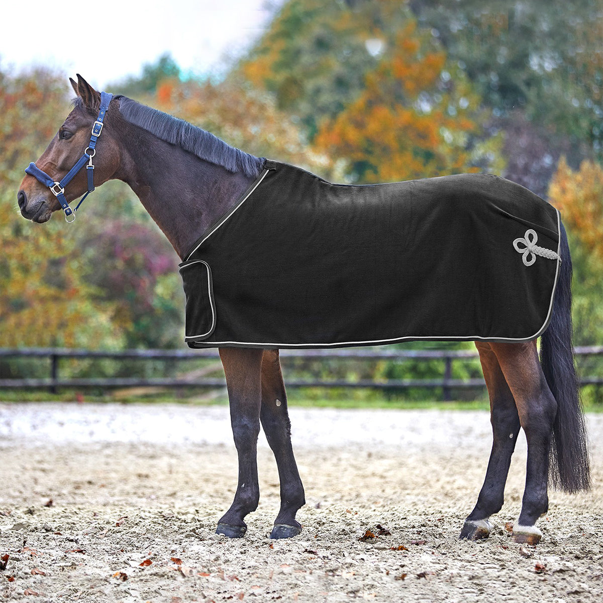 Fleece Anti Sweat Rug