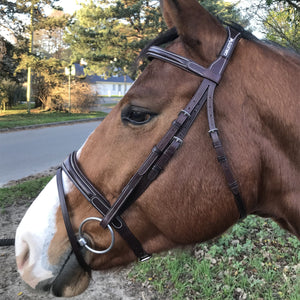 Cavaletti Comfort Bridle