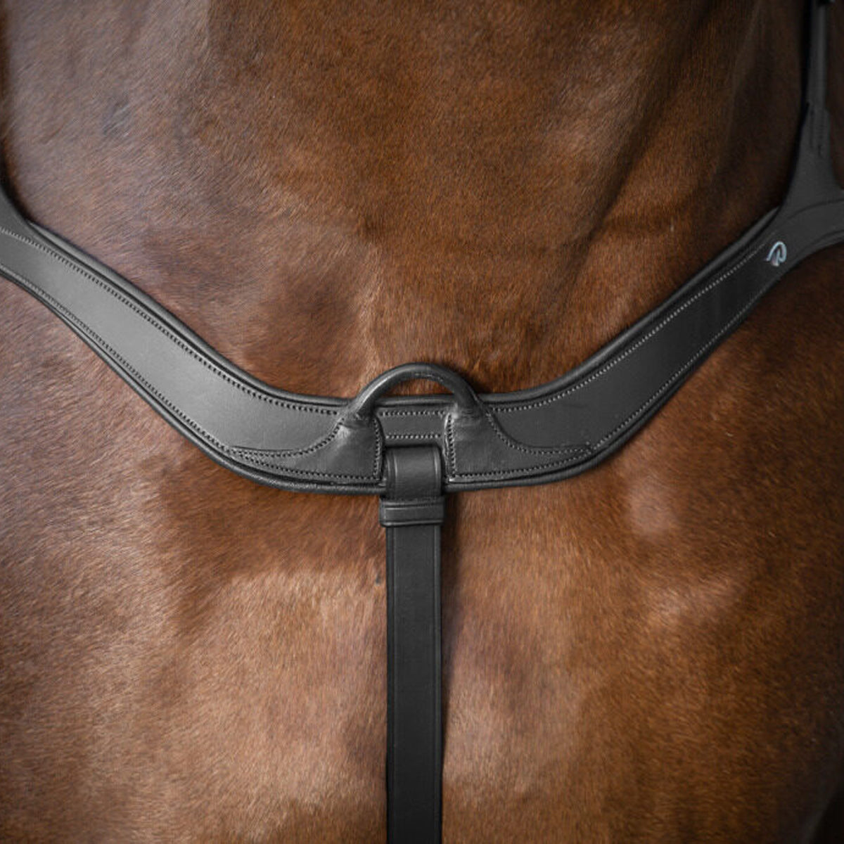 DY'ON Anatomical Breastplate New English Collection