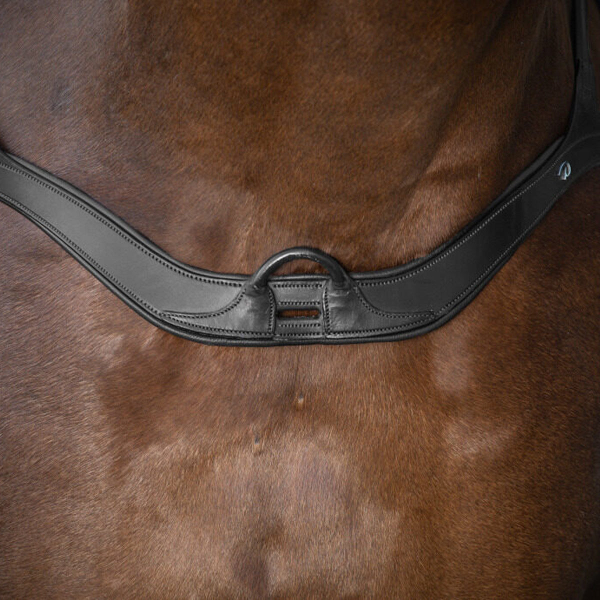 DY'ON Anatomical Breastplate New English Collection