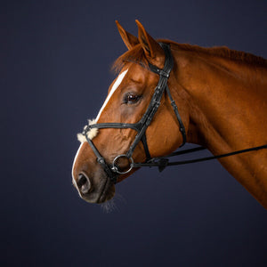 DY'ON Fig 8 Noseband Bridle New English Collection