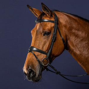 DY'ON Anatomic Flash Noseband Bridle New English Collection