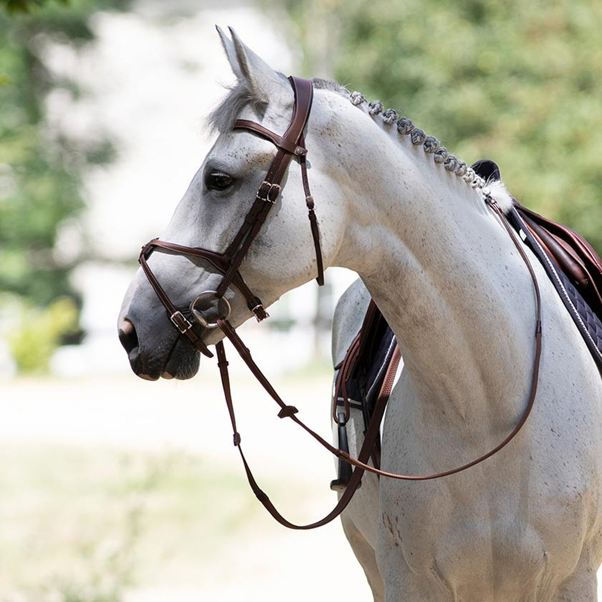 Antares Origin Fig 8 nose Bridle
