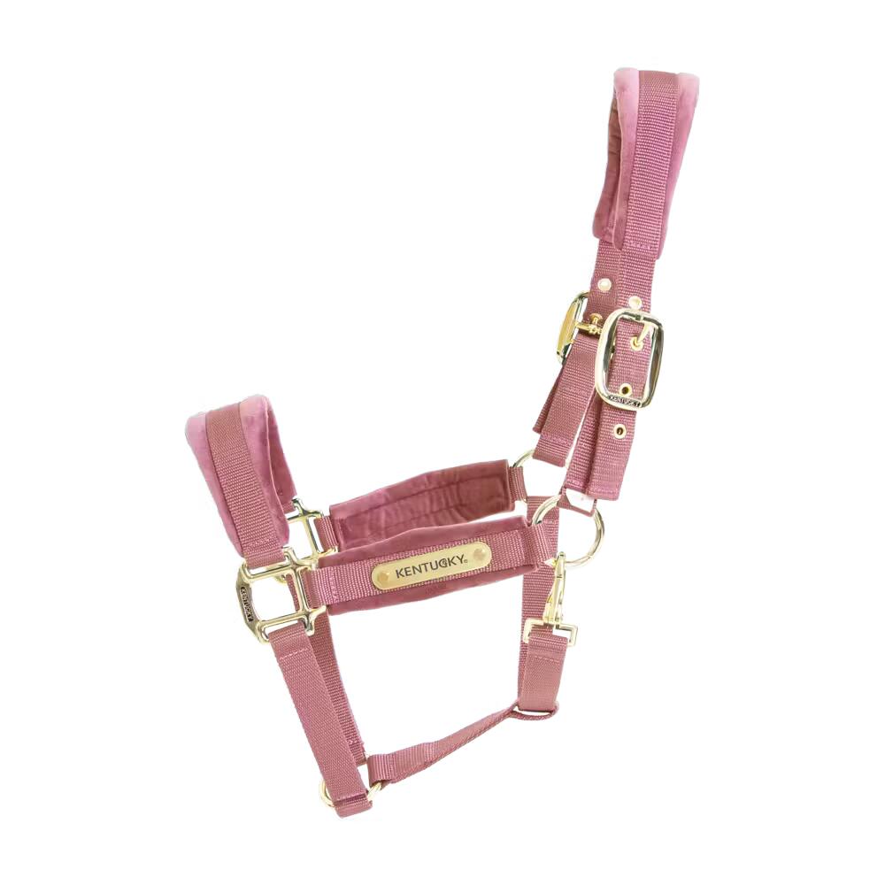 Velvet Halter