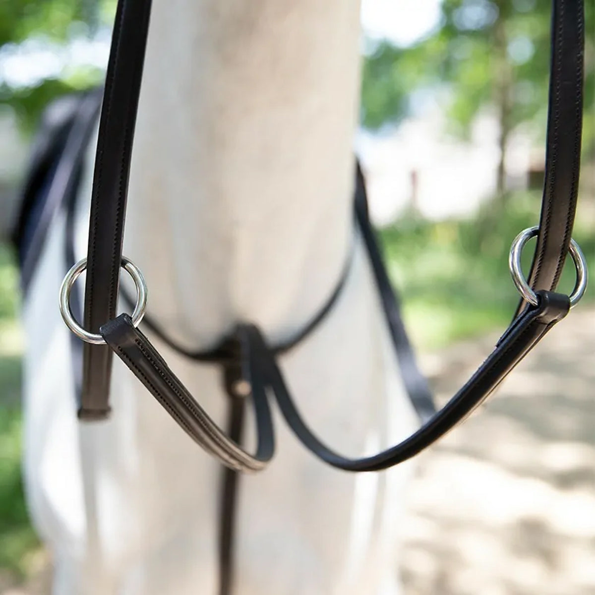 Antares Running Martingale