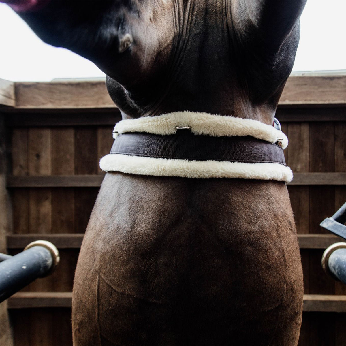 Sheepskin Girth