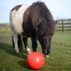 Likit™ Snak a Ball