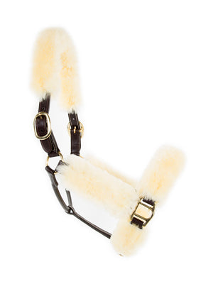 Cavaletti Leather /Sheepskin Halter