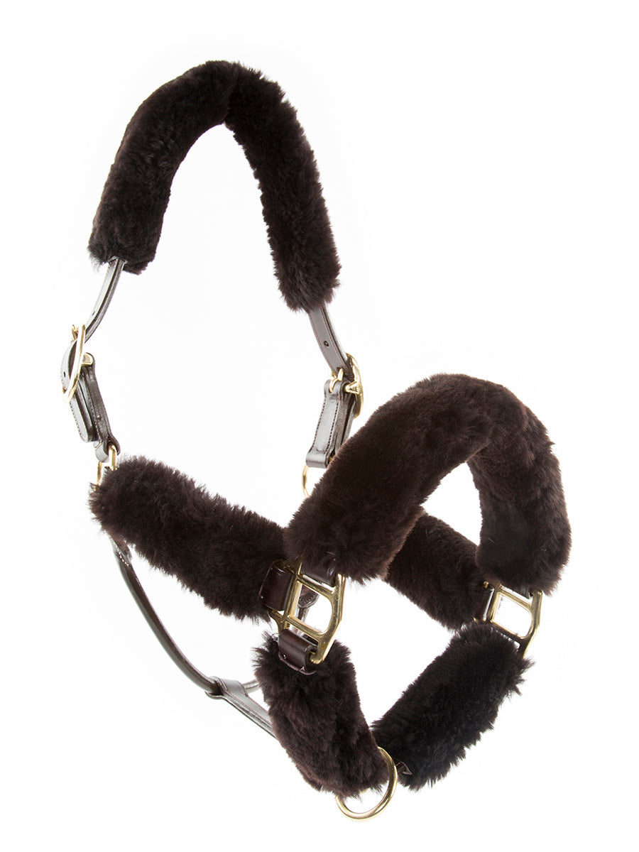 Cavaletti Leather /Sheepskin Halter