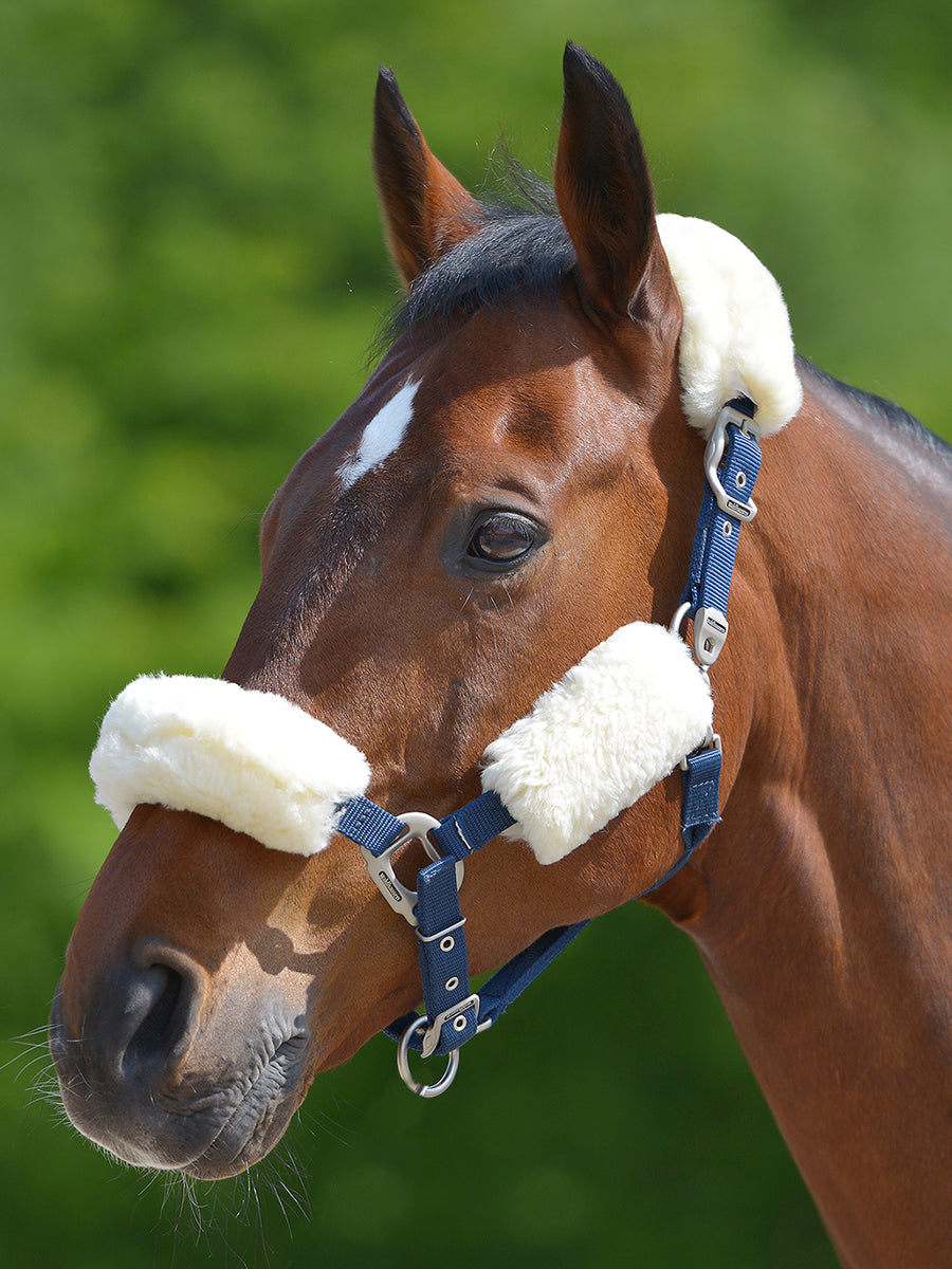 Lambskin Halter Set