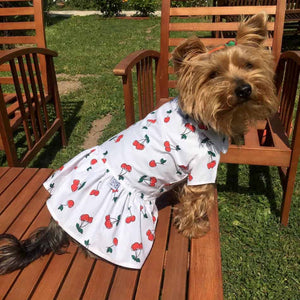 Oli and Lui Dog Dress Cherry Dress