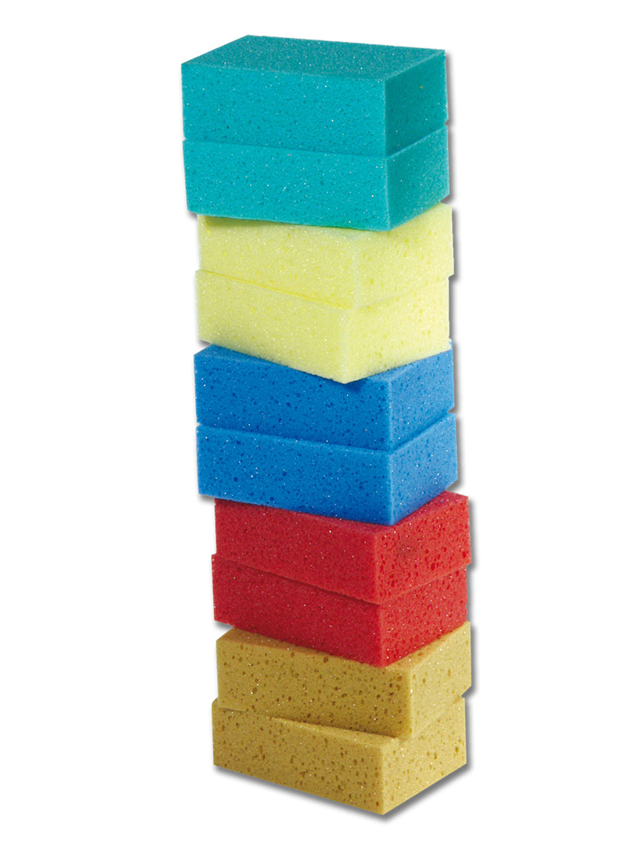 All Purpose Sponge