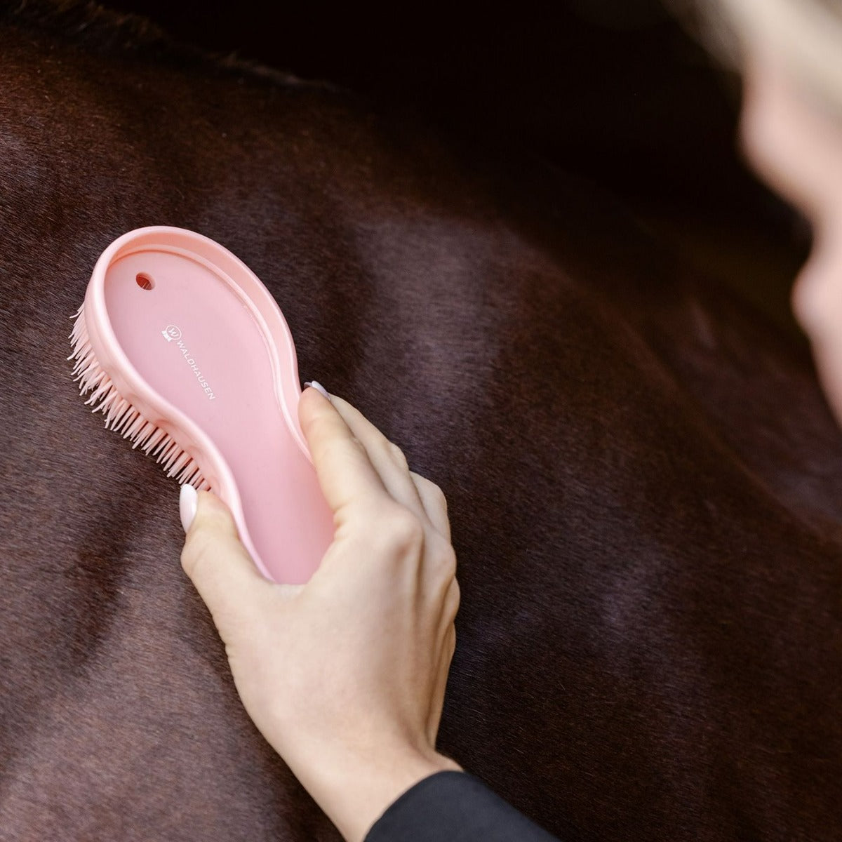 All in One Brush