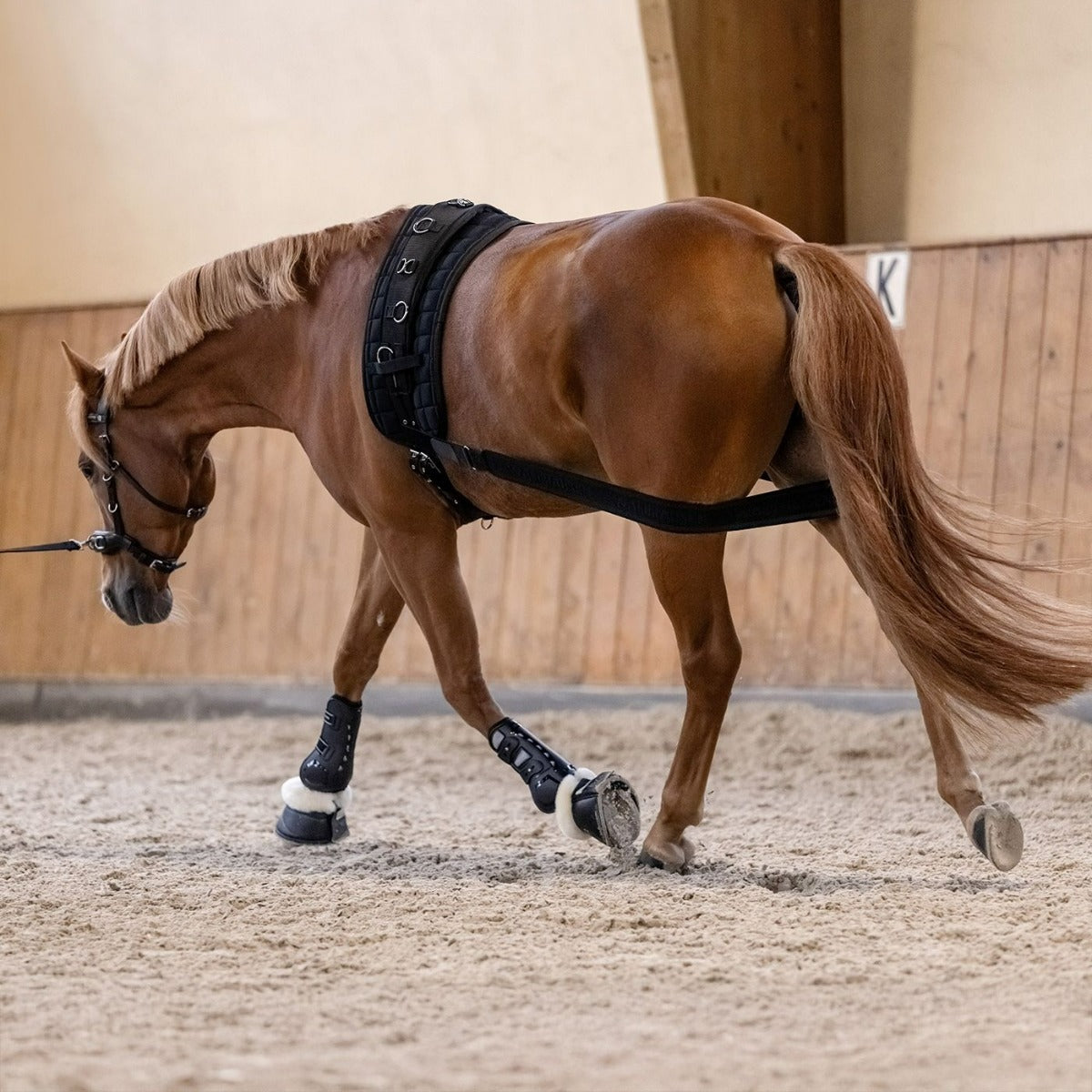 Memory Foam Pro Tendon Boot