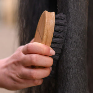 Exclusive Line Dirt Brush