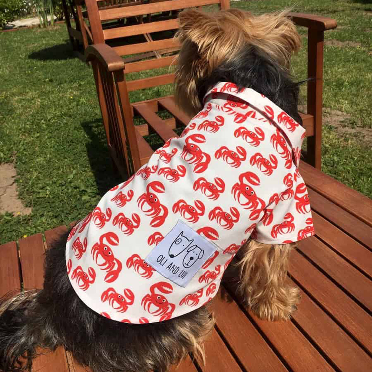 Oli and Lui Dog Shirt Crabs