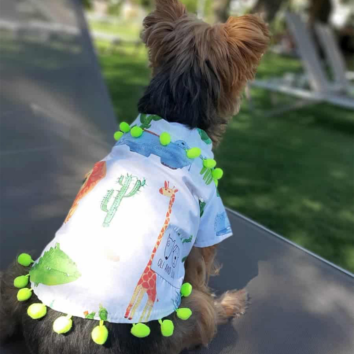 Oli and Lui Dog Shirt Jungle