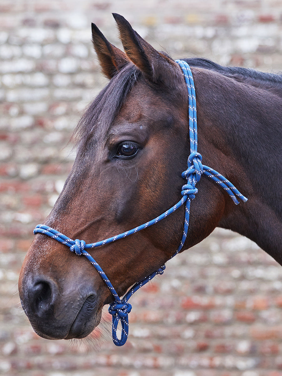 Knotted Halter