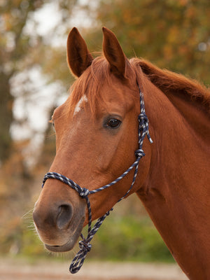 Knotted Halter