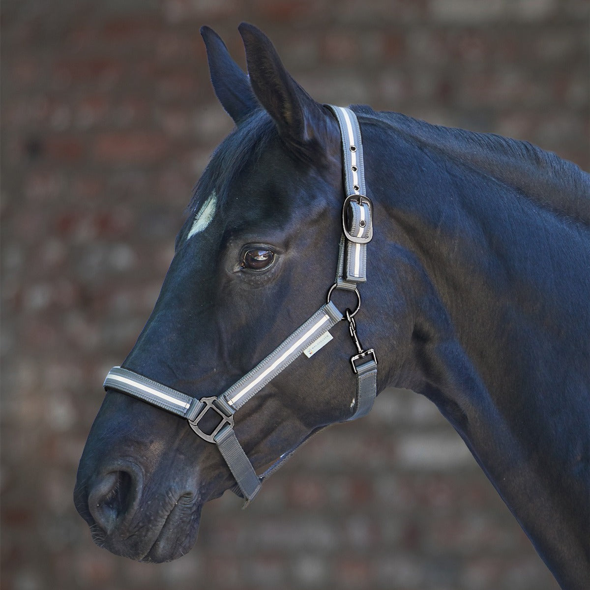 Halter Reflex Stripe