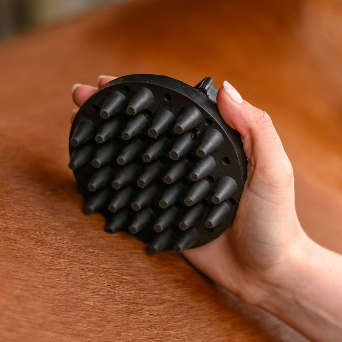 Curry Comb Rubber-Groomer