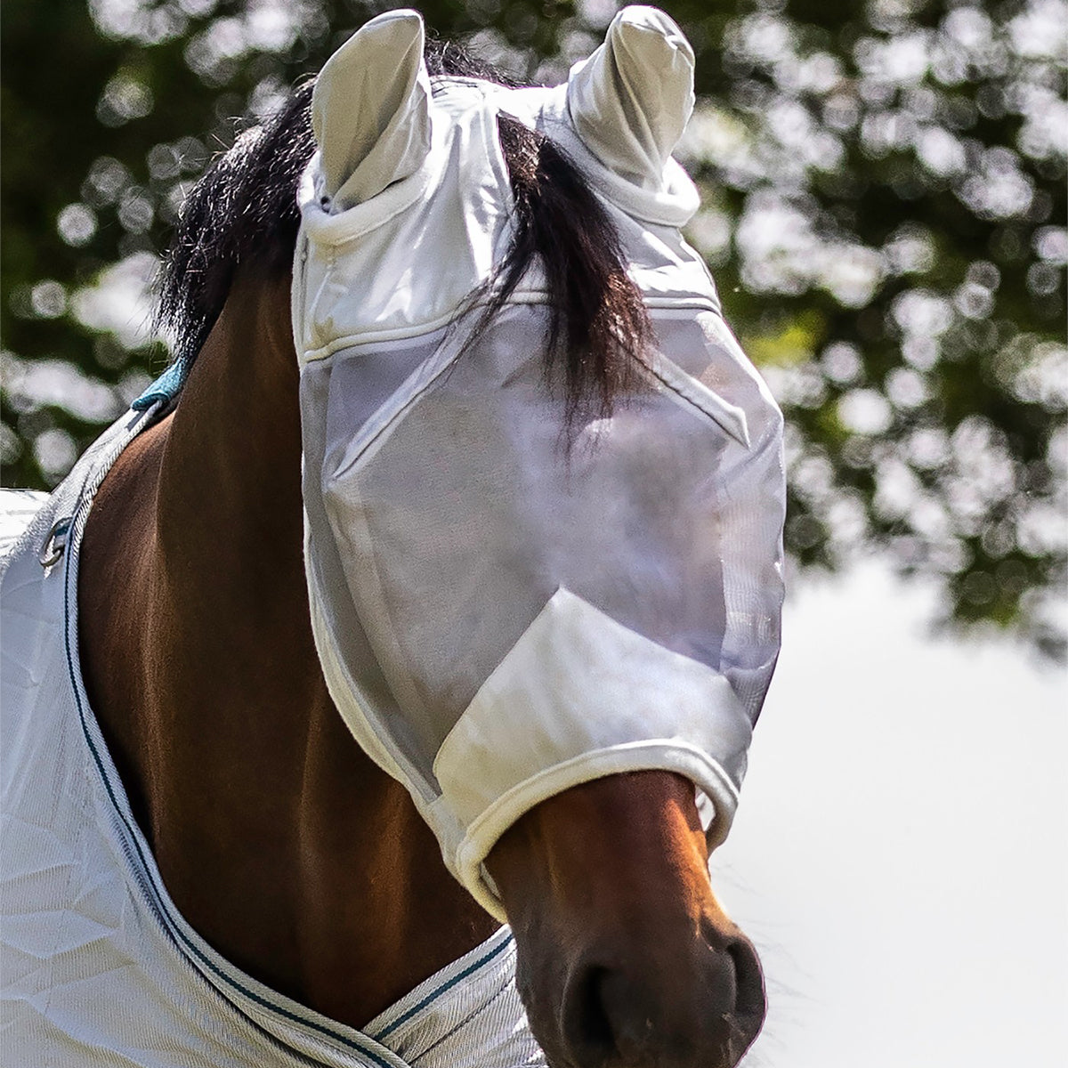 Fly Mask Premium with Ears
