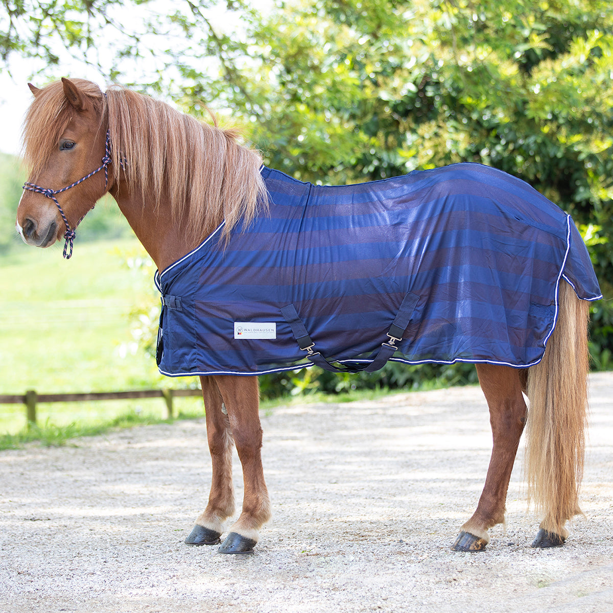 Economic Fly Sheet with Cross-Surcingles
