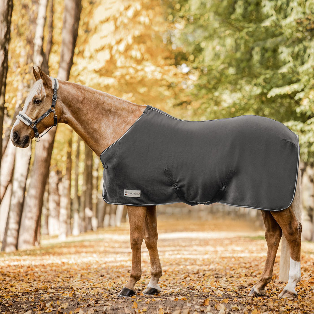 Economic Fleece Rug with Cross Straps