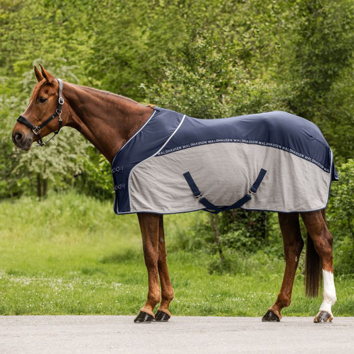Fly Summer Rug