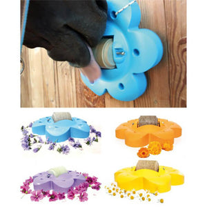 Officinalis Carrot / Marigold / Chard Lollyroll Salt Blocks (Pack Of 2 Blocks)