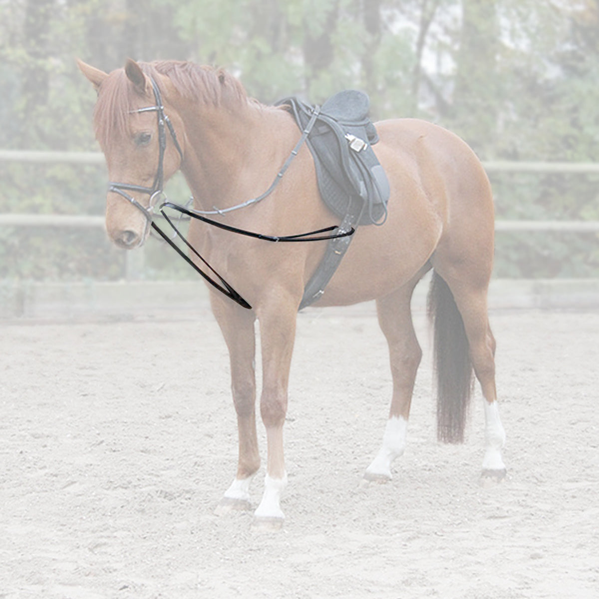 STAR Lunge Draw Reins - One Piece