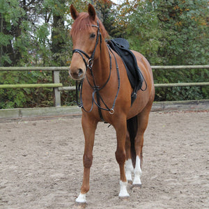 STAR Martingale