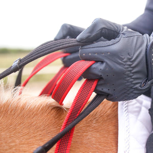 Secutrust Breastplate with Safety Rein