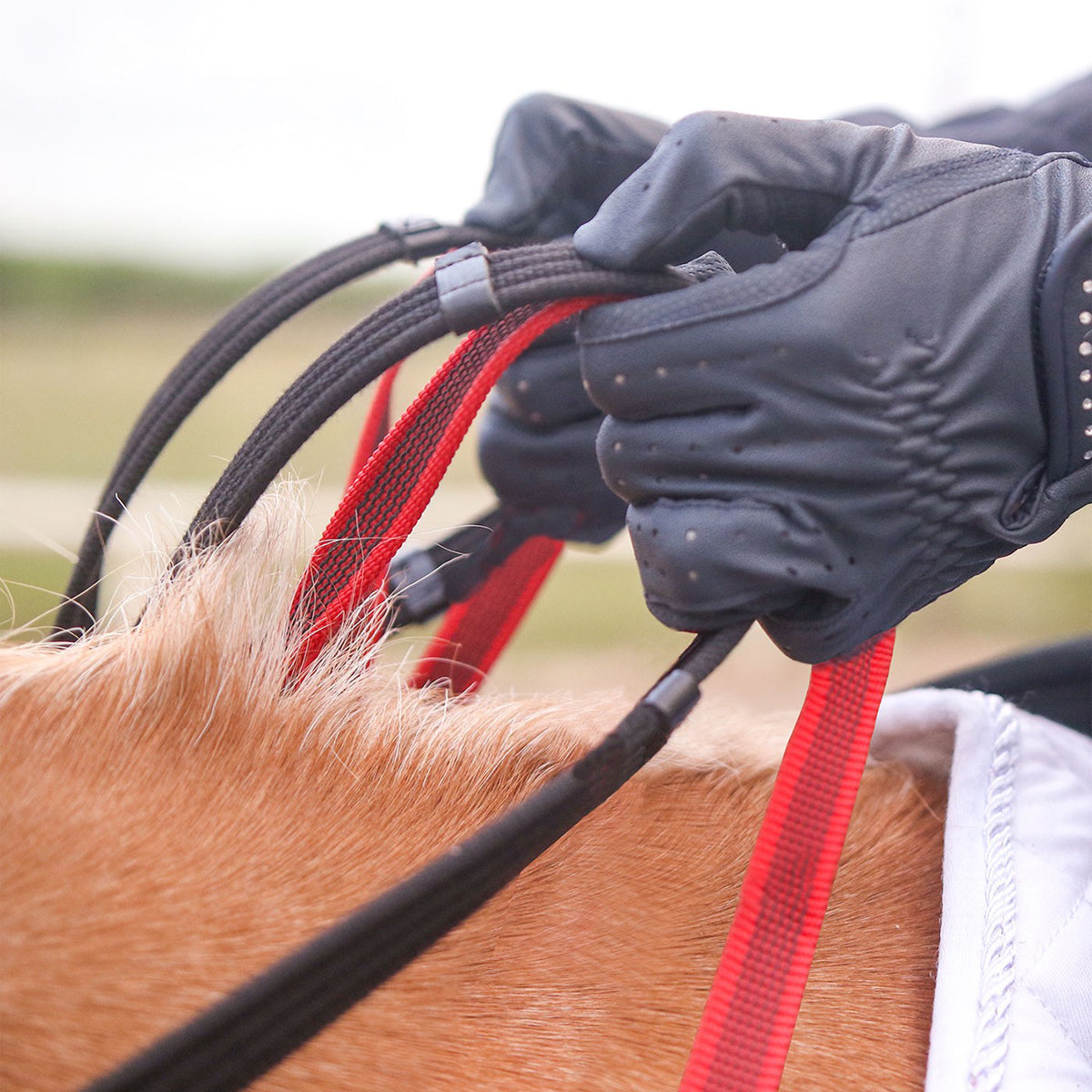 Secutrust Breastplate with Safety Rein