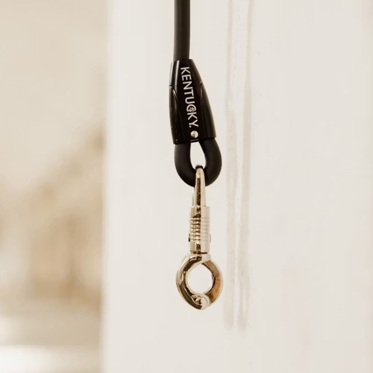 Kentucky Horse Box Lead & Cross Ties Silicone