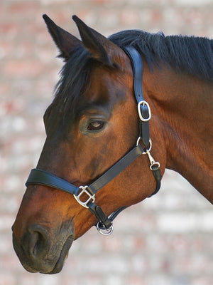 X-Line Leather Halter Anatomic