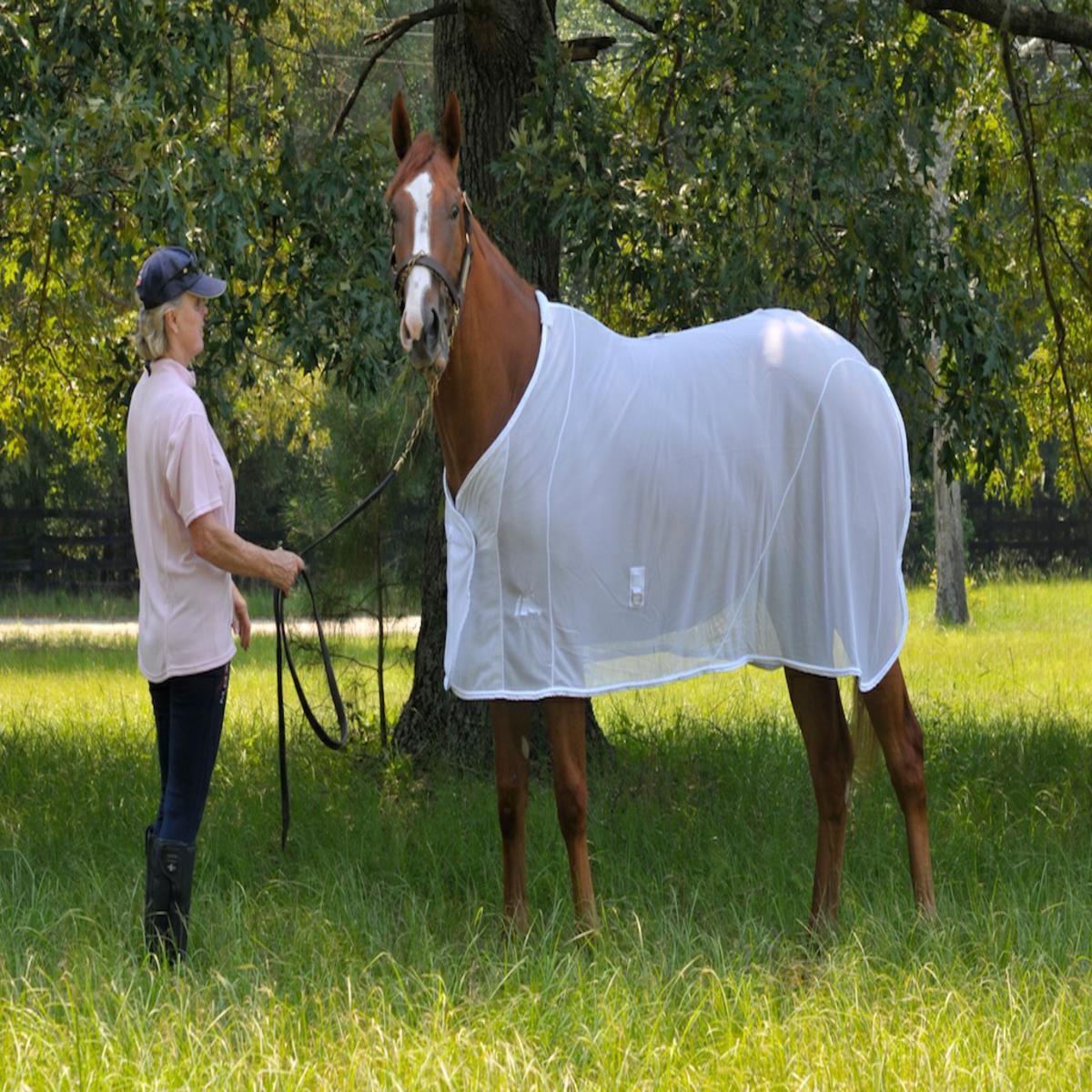 BodyGuard Therapeutic Flysheet