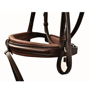 Silver Crown Bridle