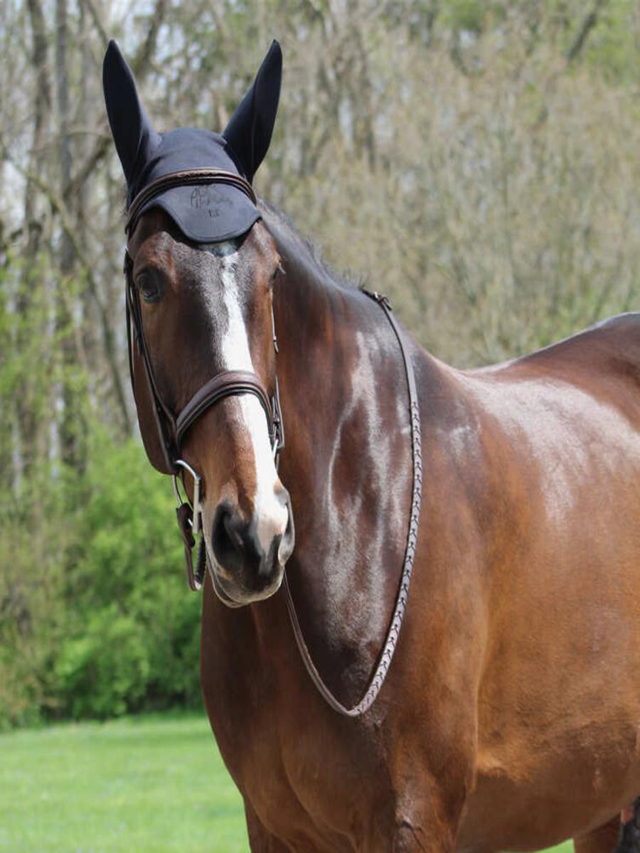 Liquid Titanium Therapeutic Ear Bonnet