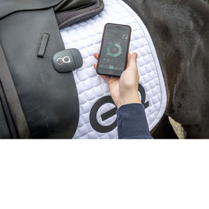 Equestic Saddle Clip