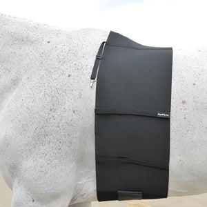EquiFit® BellyBand™