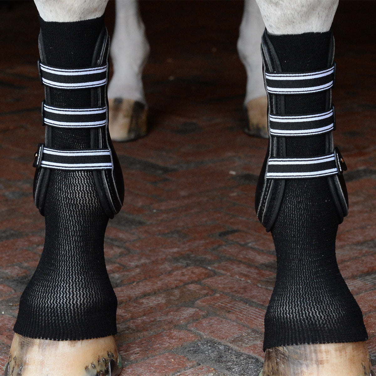 EquiFit® GelSox™ for Horses