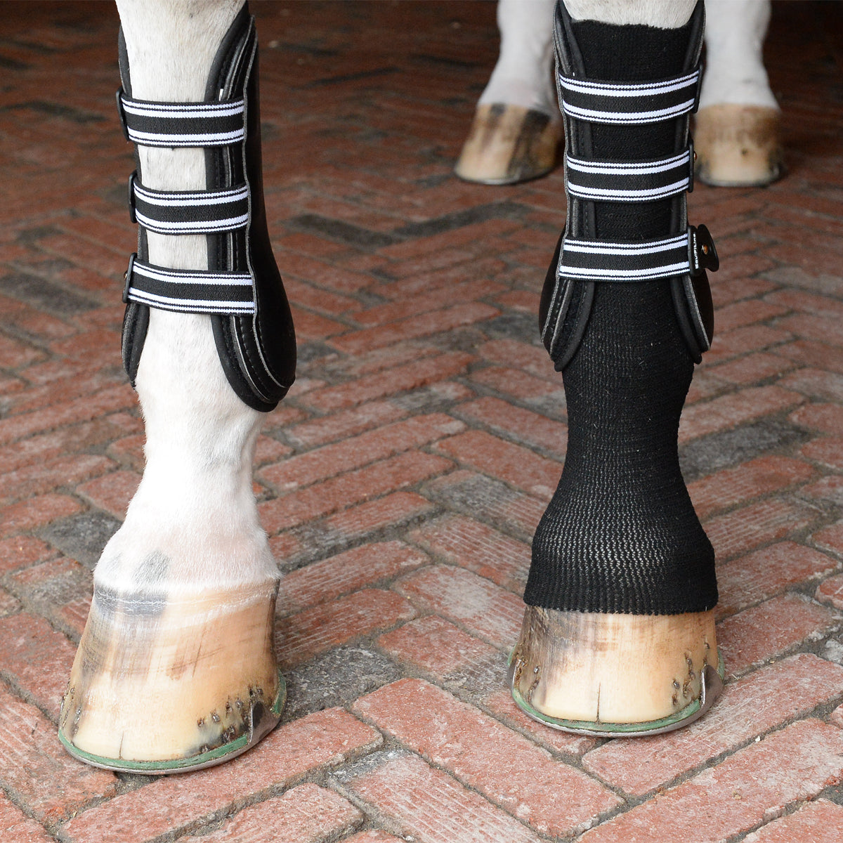 EquiFit® GelSox™ for Horses